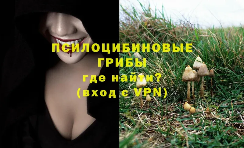 Галлюциногенные грибы Magic Shrooms  Морозовск 